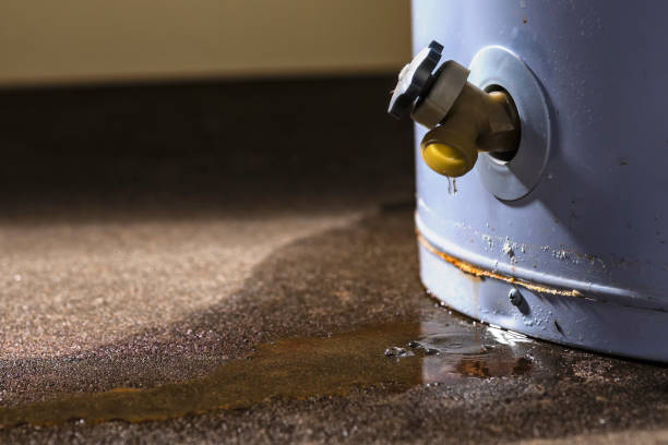 Best 24-hour water damage restoration  in Richland, GA