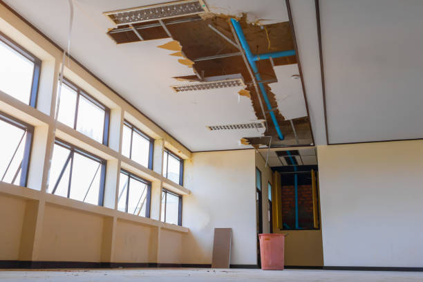 Best Sewage cleanup and water damage restoration  in Richland, GA