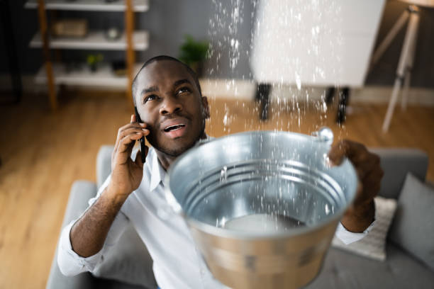 Best Ceiling water damage repair  in Richland, GA