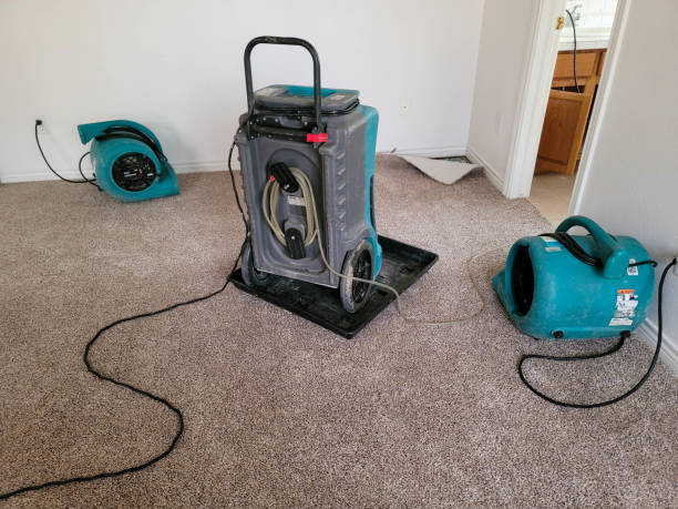  Richland, GA Water damage restoration Pros