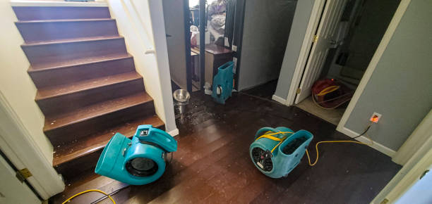 Best Local water damage restoration  in Richland, GA
