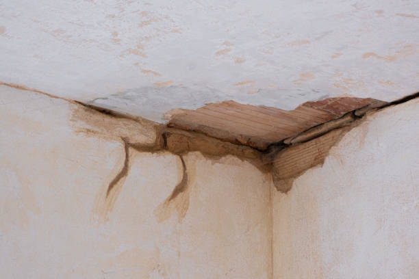Best Emergency water damage restoration  in Richland, GA