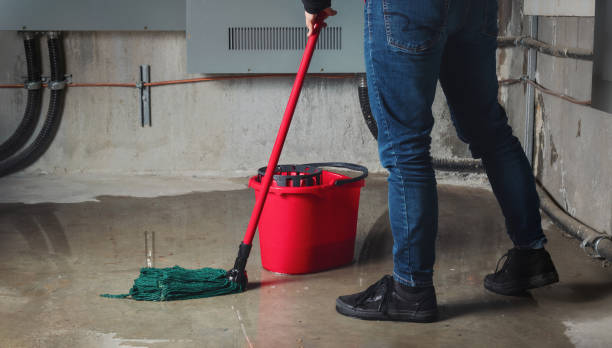 Best Flooded house restoration  in Richland, GA