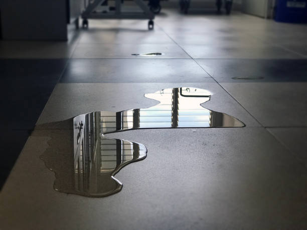 Best Commercial water damage restoration  in Richland, GA