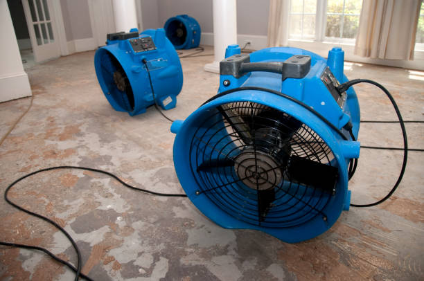 Best Ceiling water damage repair  in Richland, GA