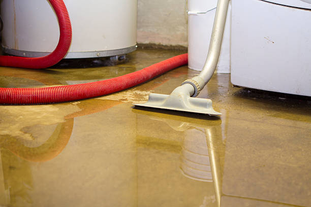 Best Carpet water damage restoration  in Richland, GA