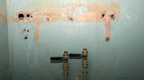 Best Residential water damage restoration  in Richland, GA