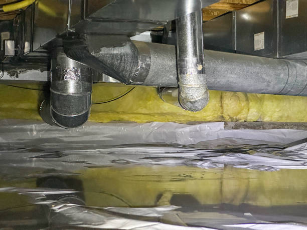 Best Water damage repair service  in Richland, GA