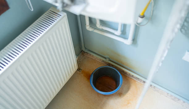 Best Water damage contractors near me  in Richland, GA