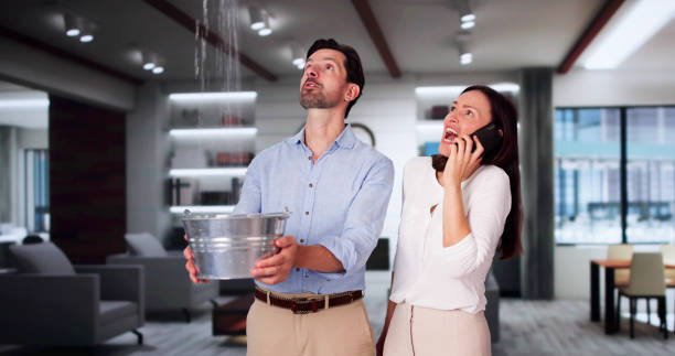 Best Water damage cleanup near me  in Richland, GA